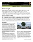 Capulin Volcano NM Soundscape